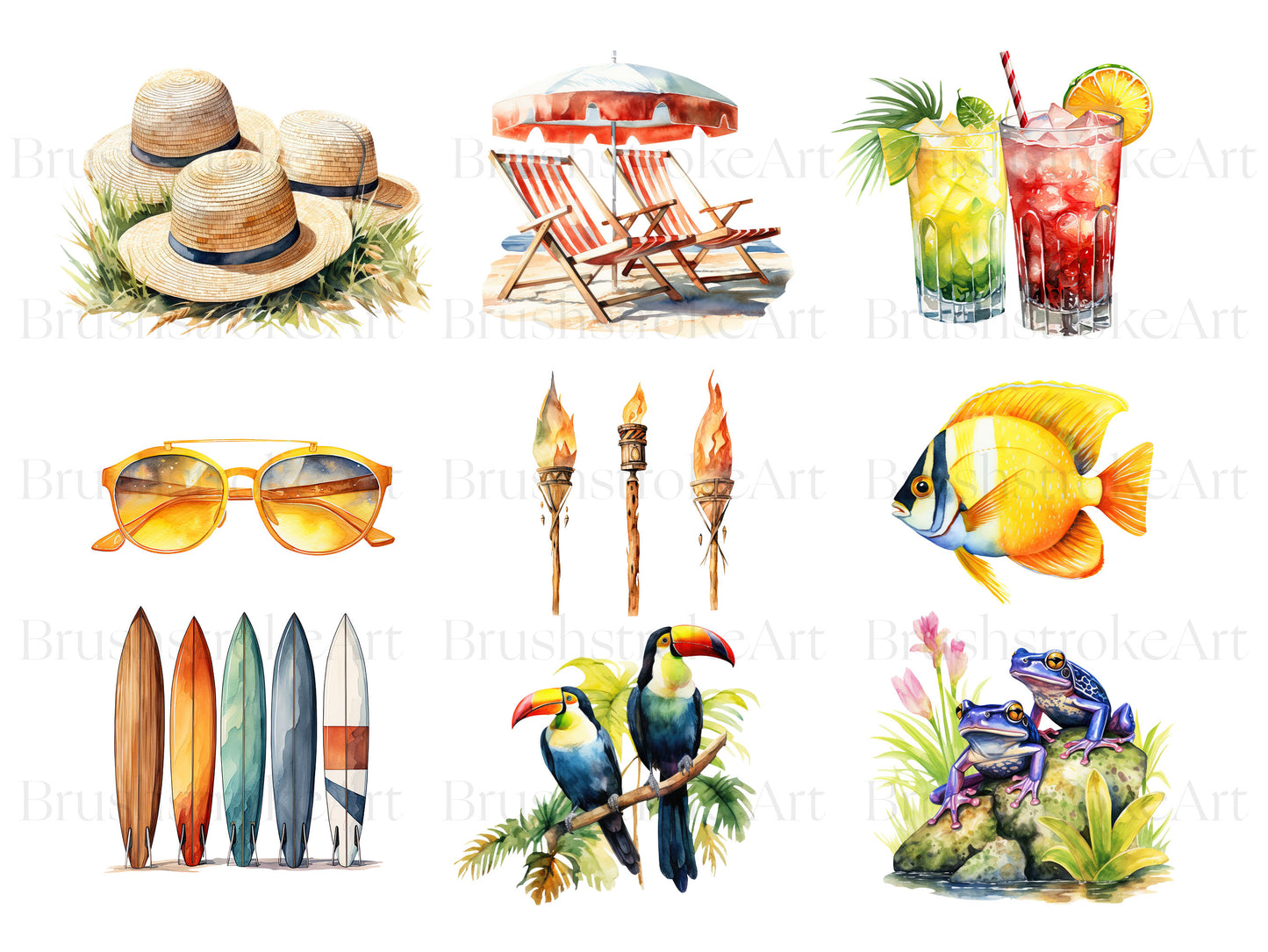 Tropical Animals