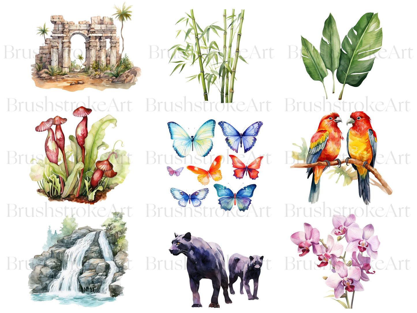 Tropical Animals