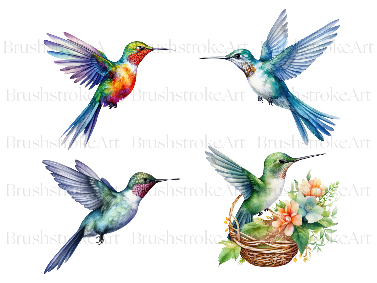 Tropical Bird