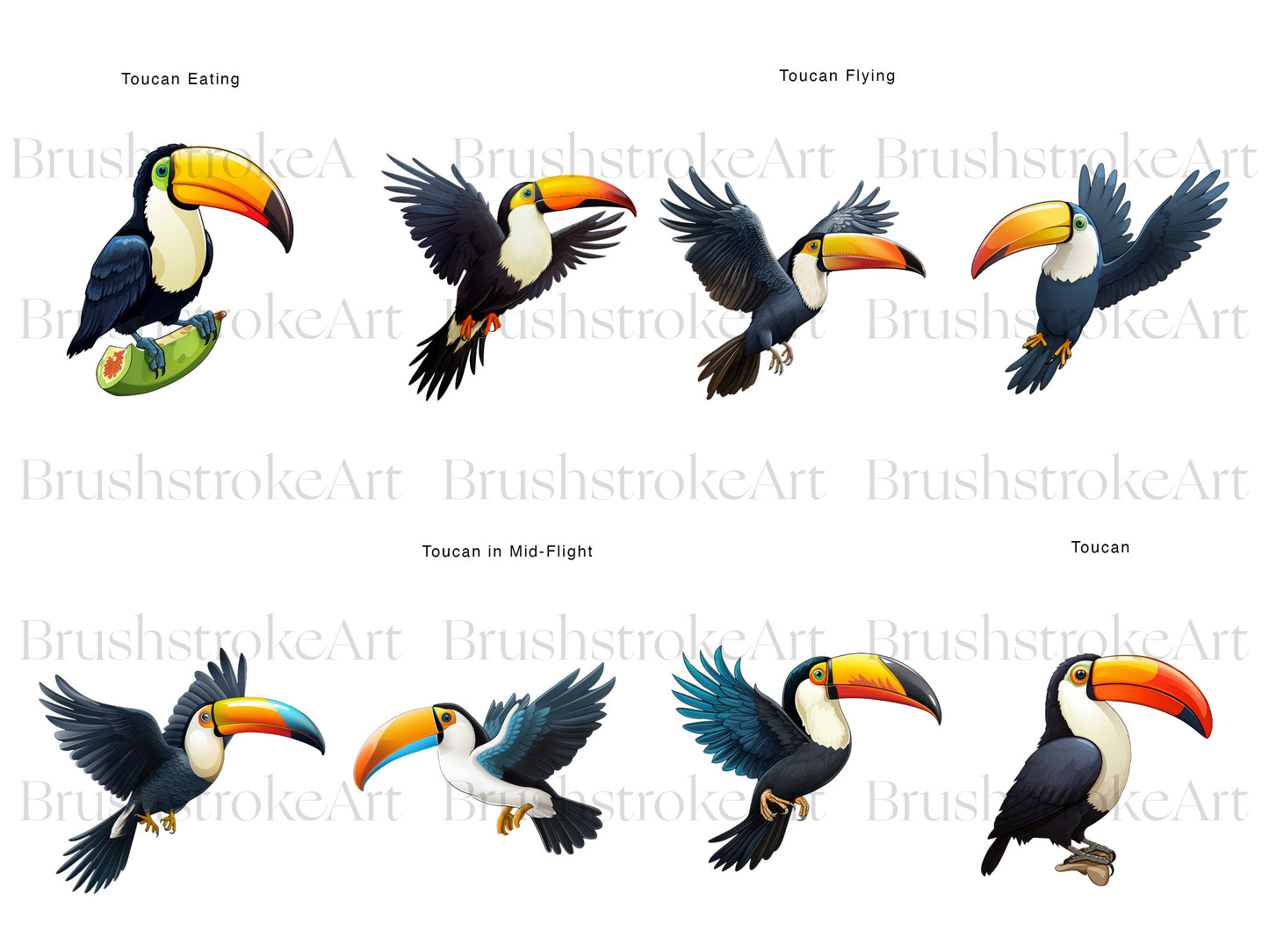 Tropical Bird