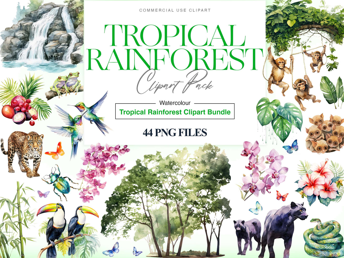 Tropical Clipart