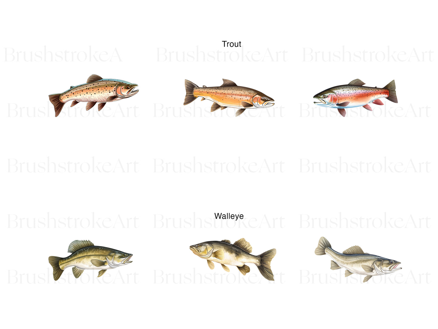 Trout Clipart