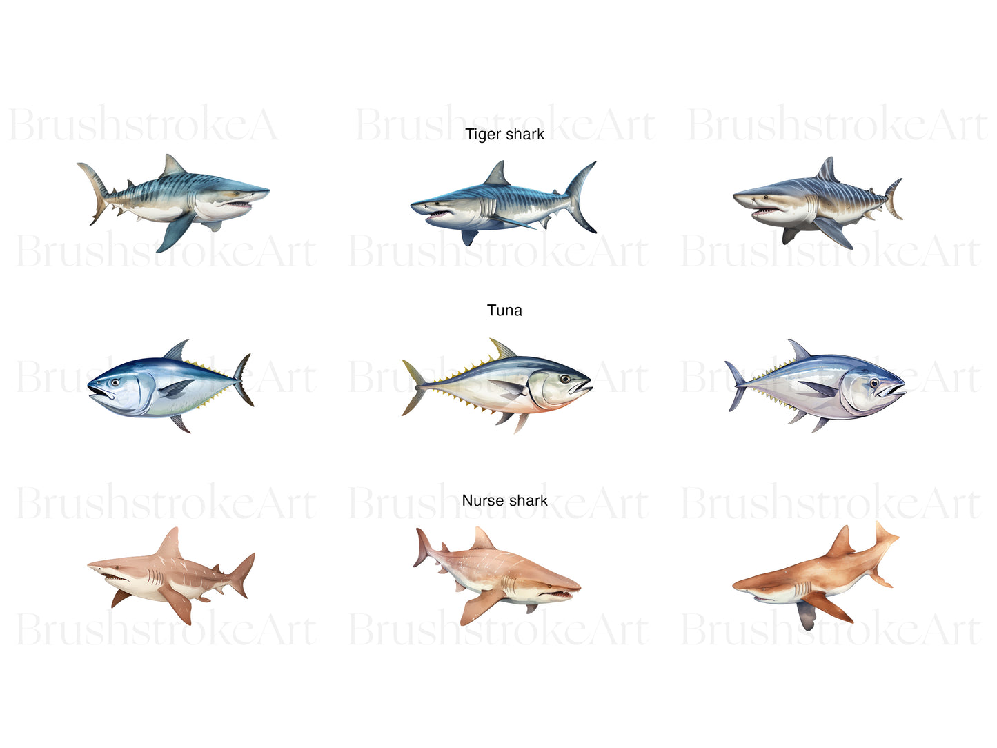 Tuna Clipart