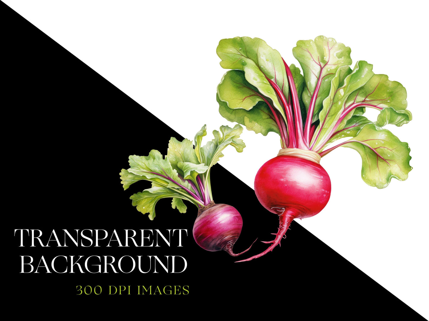 Vegetables png
