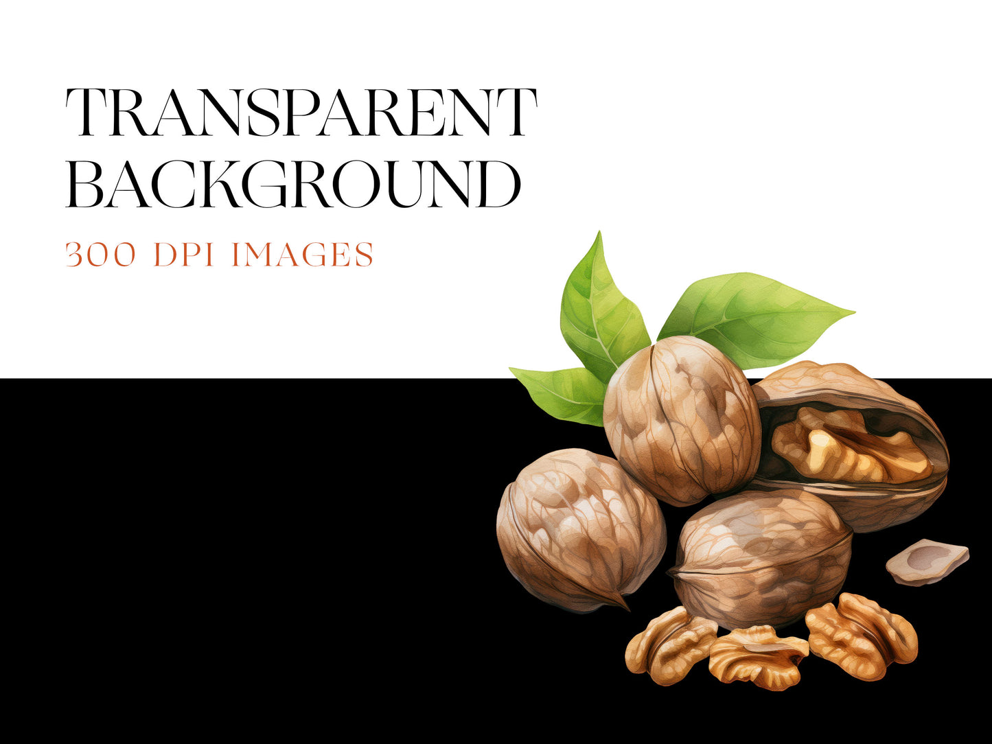 Walnut PNG