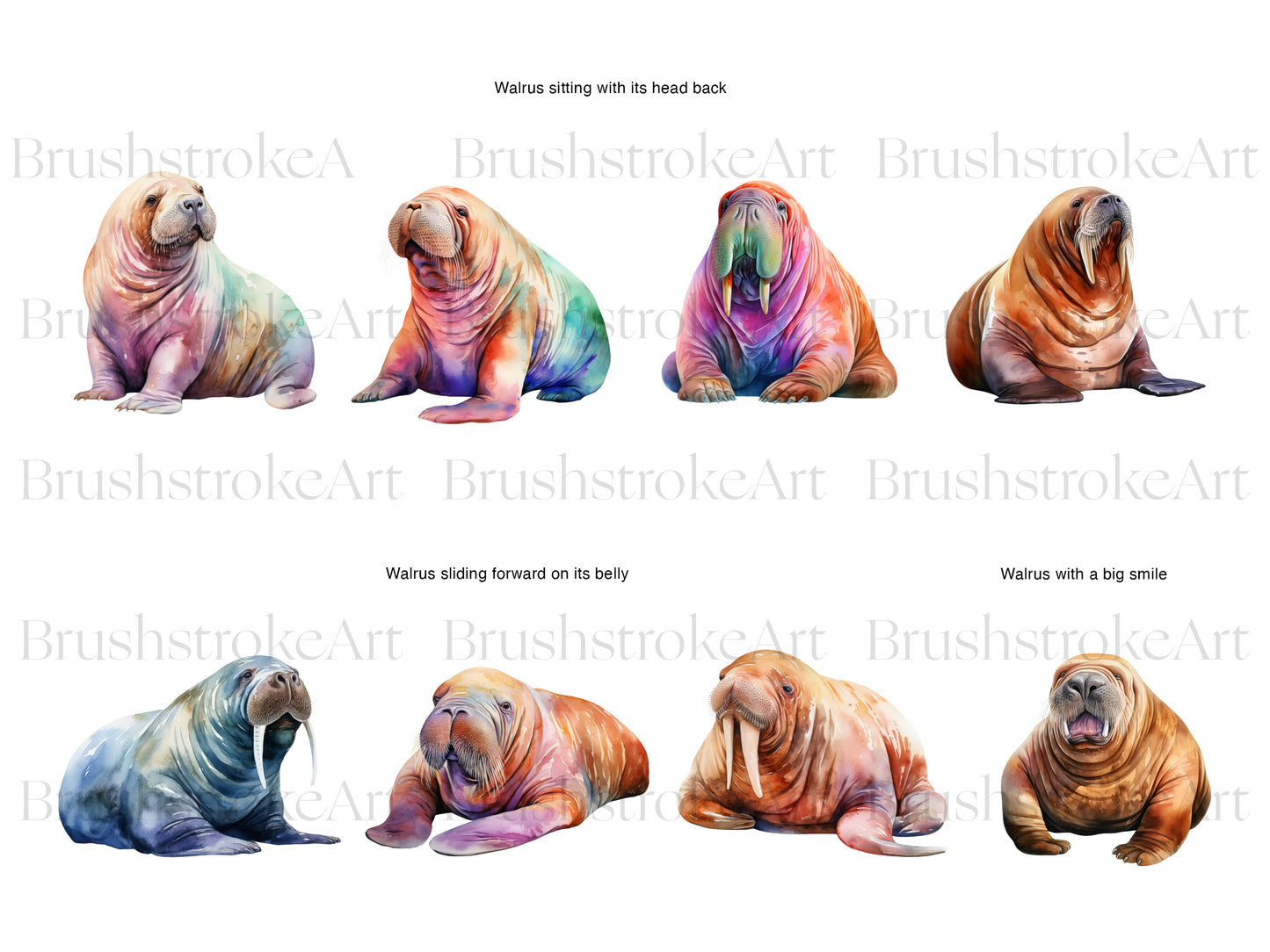 Walrus Art