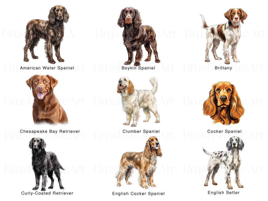 Water Colour Dogs