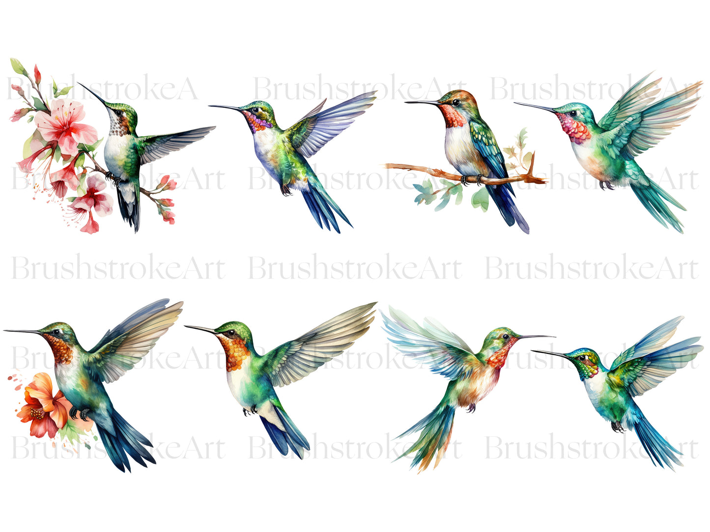 Watercolor Bird
