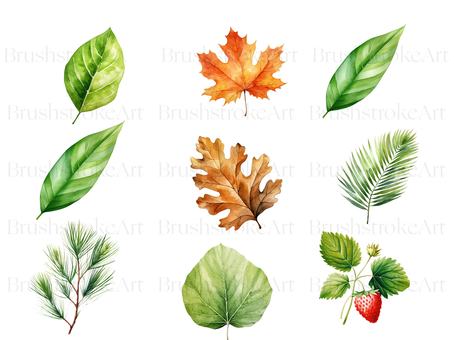 Watercolor Botanical