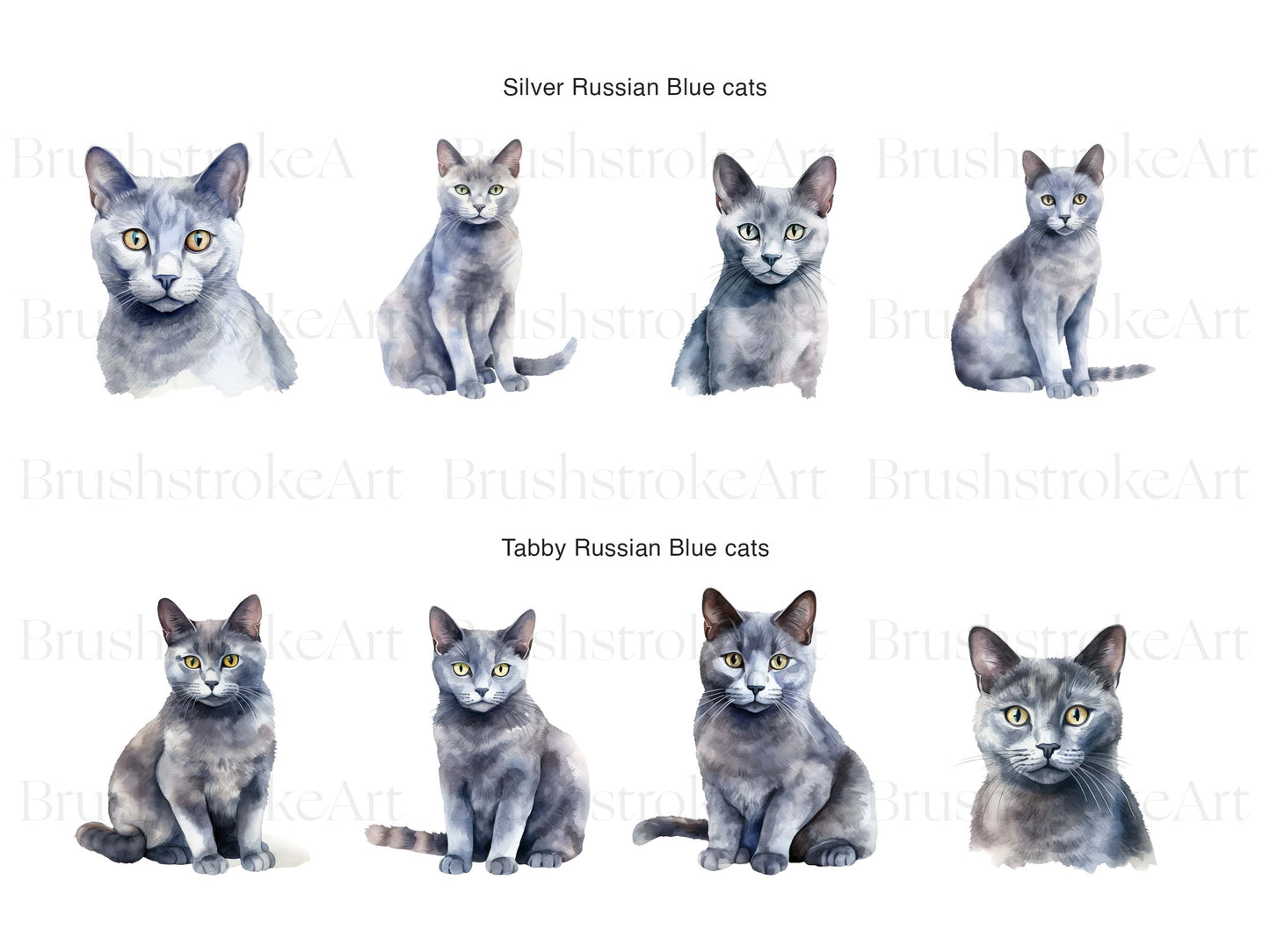 Russian Blue Cat Clipart, Watercolor Cat, Russian Cat Breed