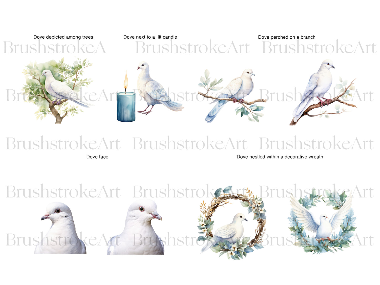 Watercolor Dove