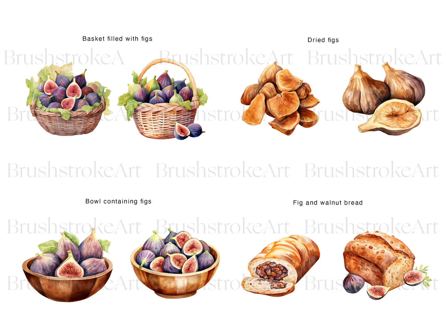 Watercolor Figs