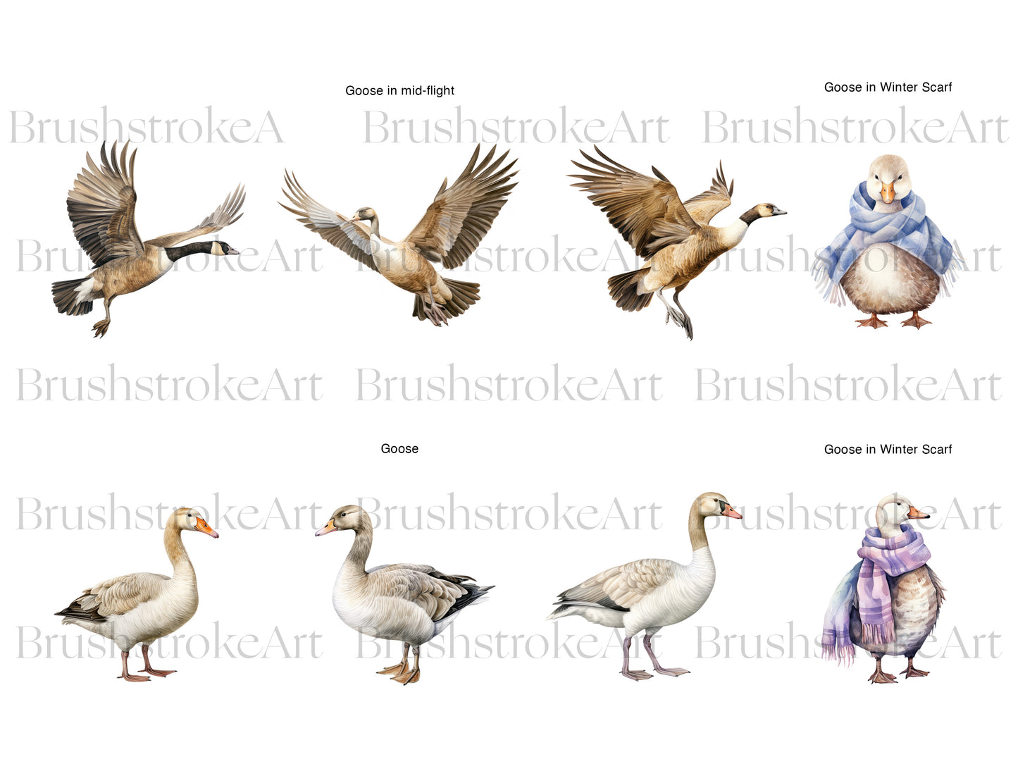 Watercolor Goose