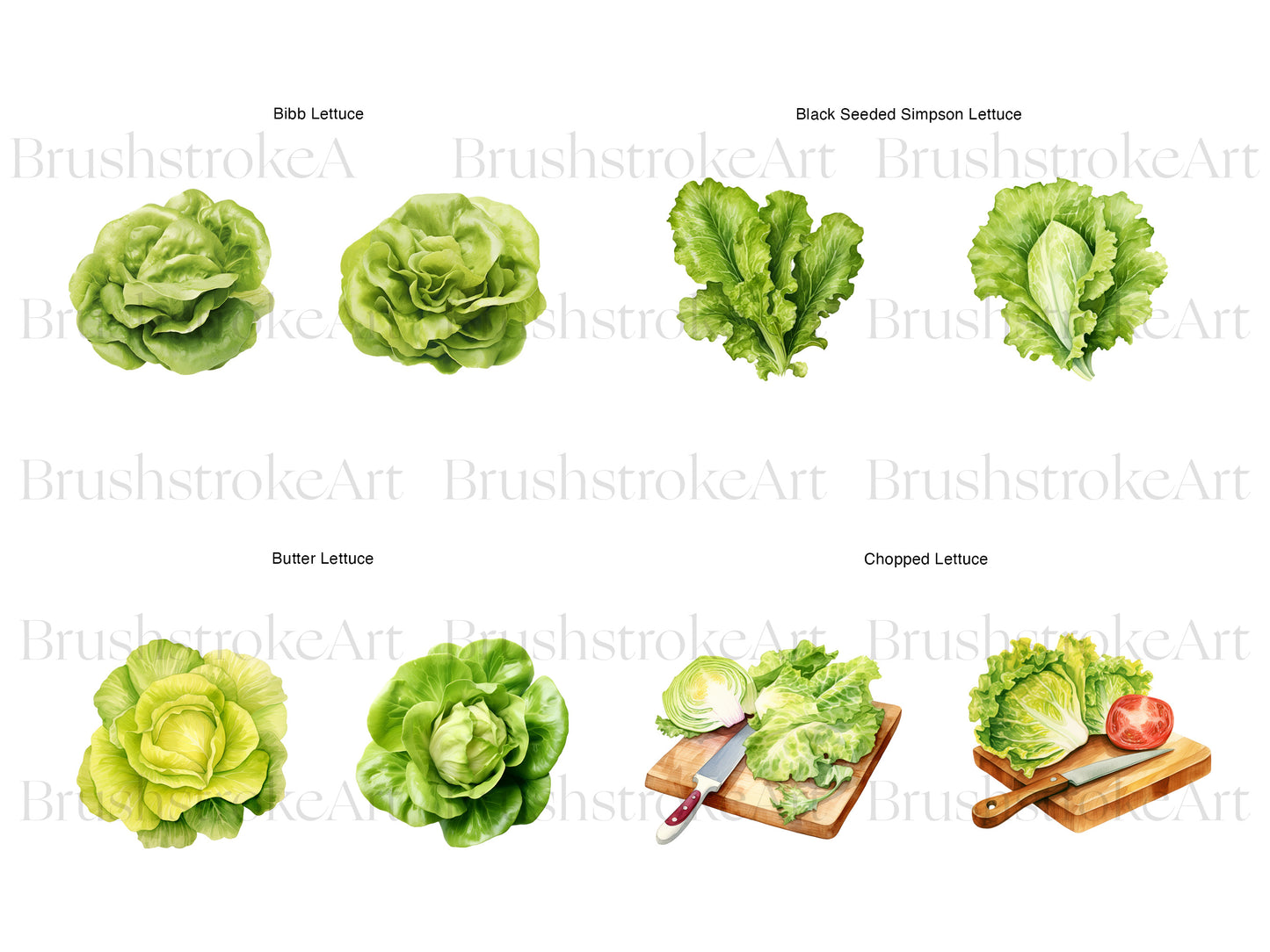 Watercolor Lettuce