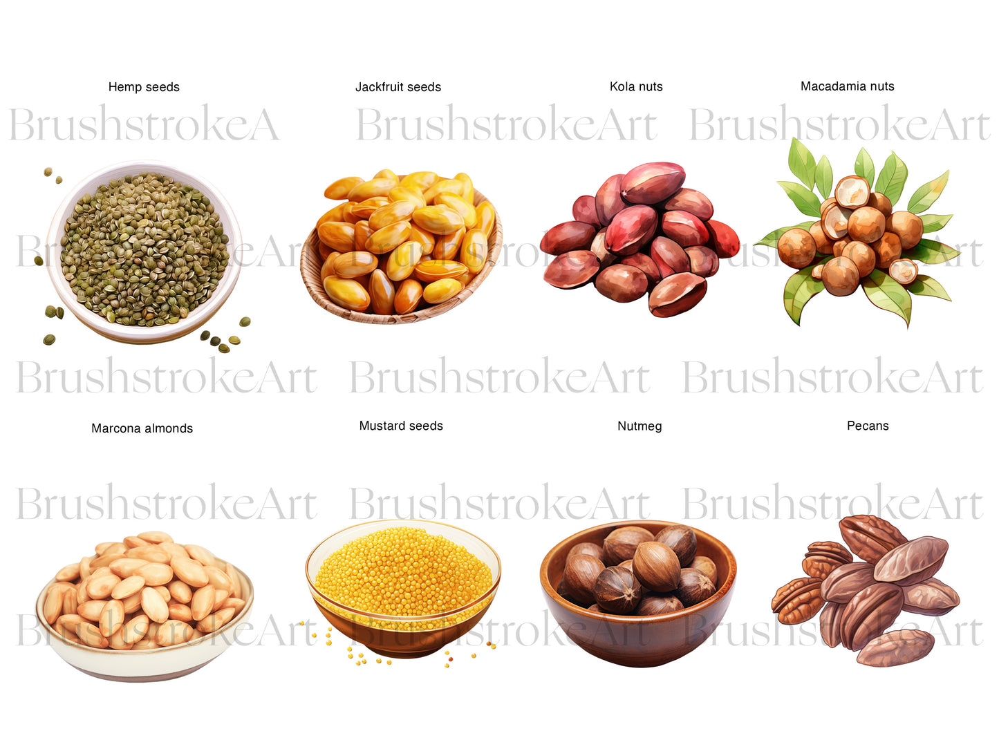 Watercolor Nuts