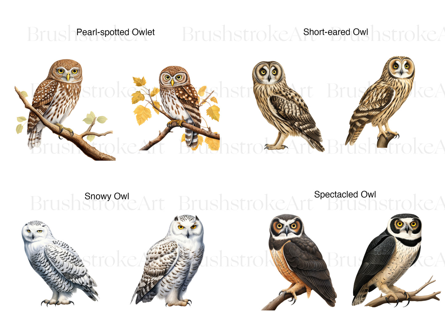 Watercolor Owls