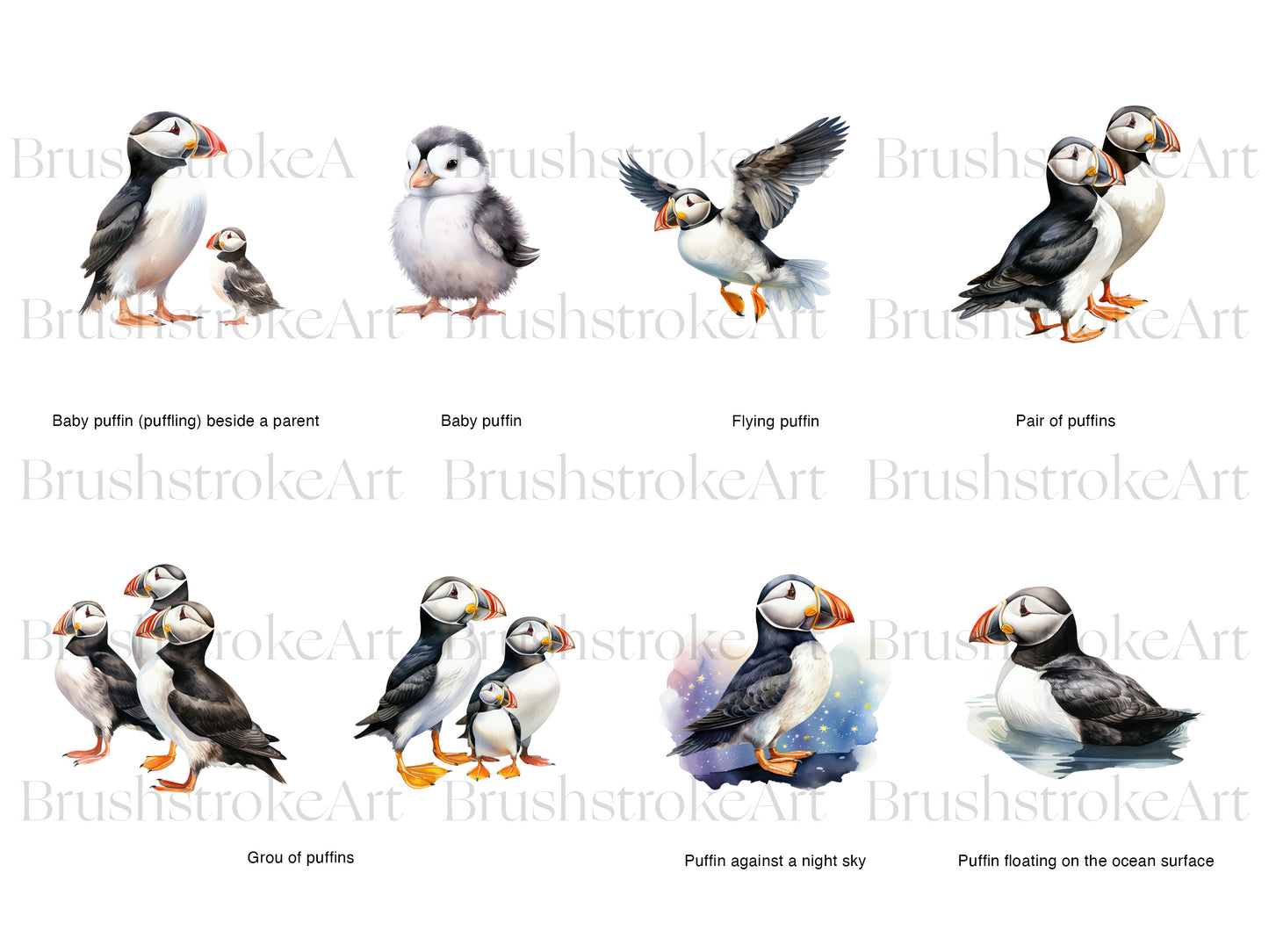 Watercolor Puffin