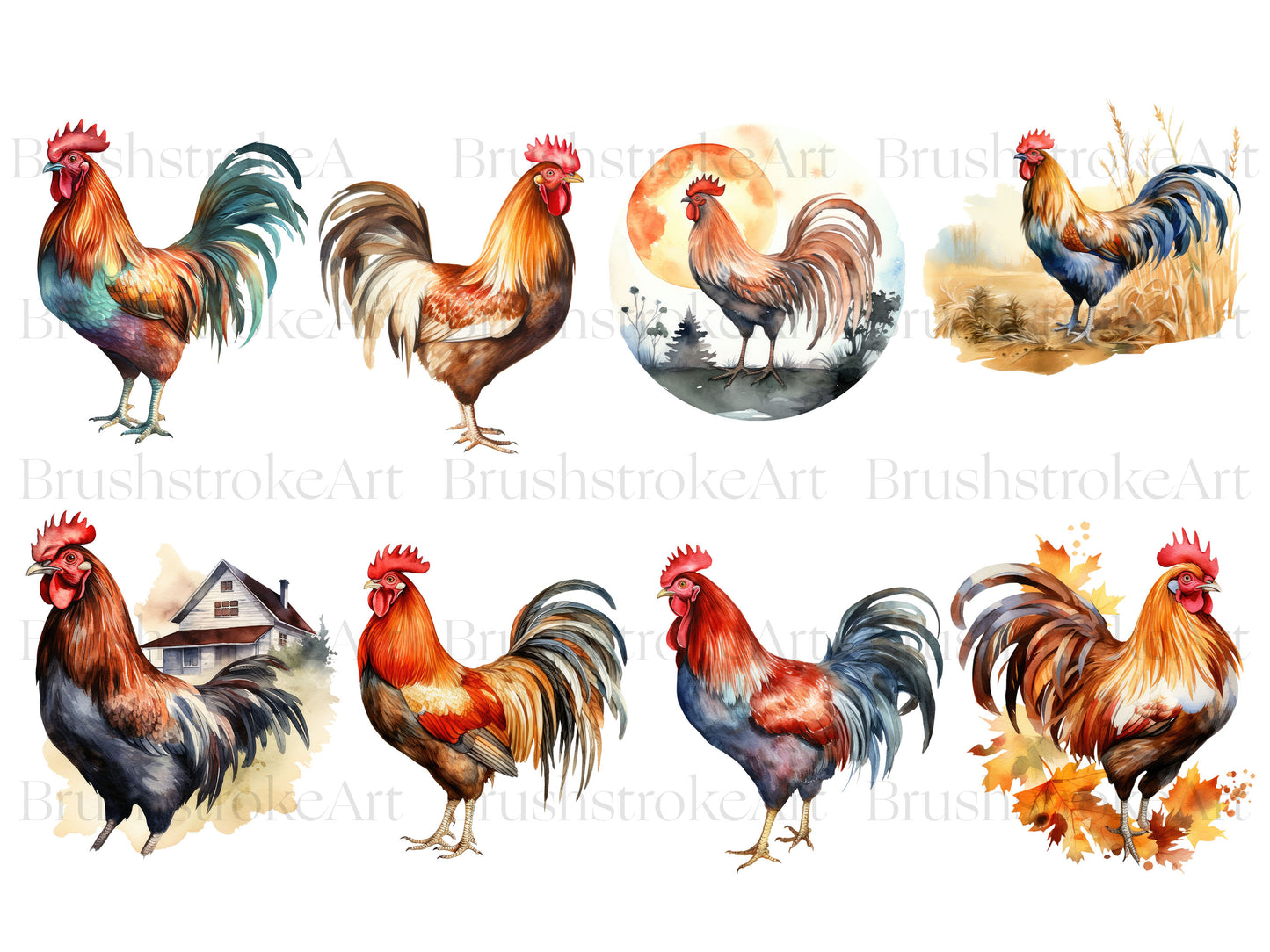 Watercolor Rooster