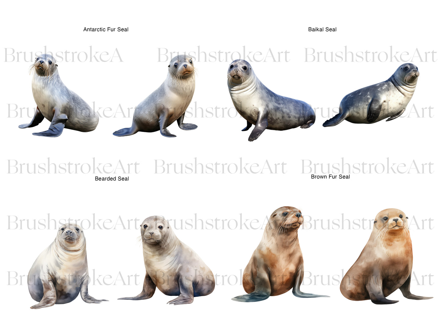 Watercolor Seal