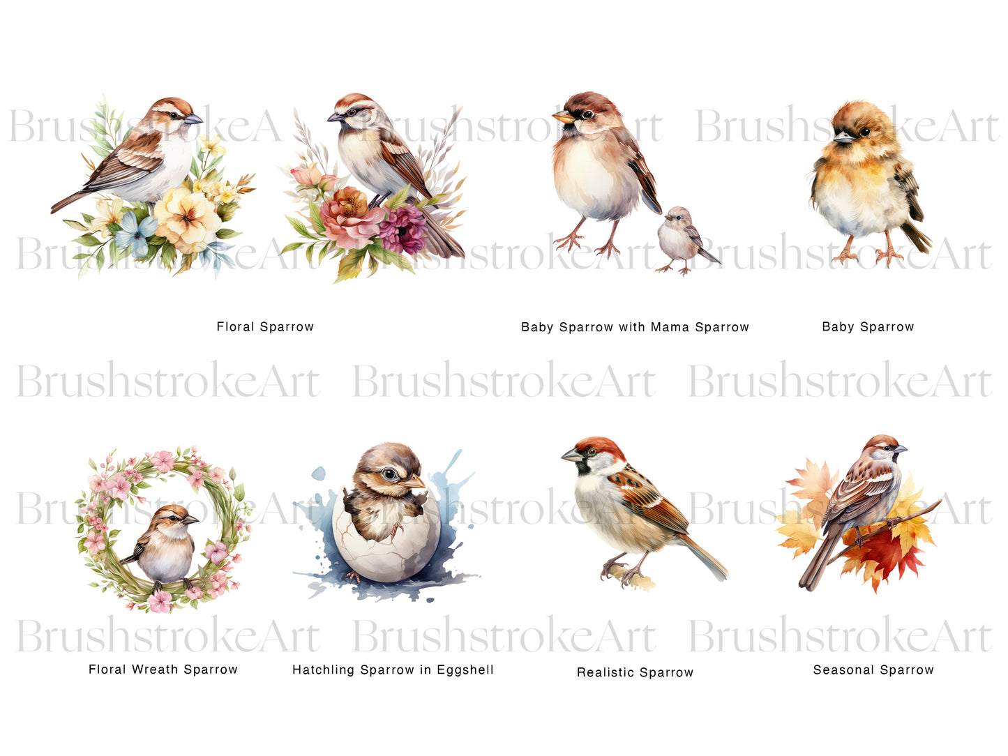 Watercolor Sparrow