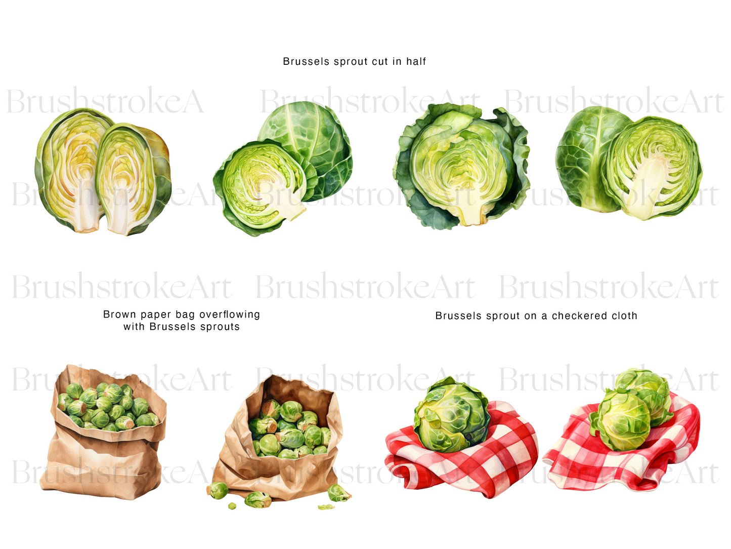 Watercolor Vegetable
