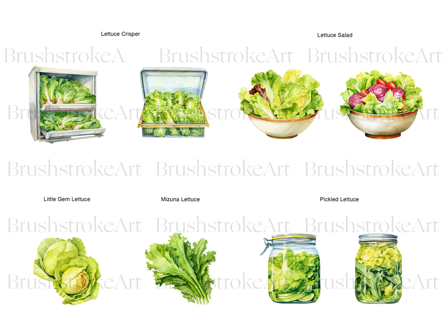 Watercolor Vegetable