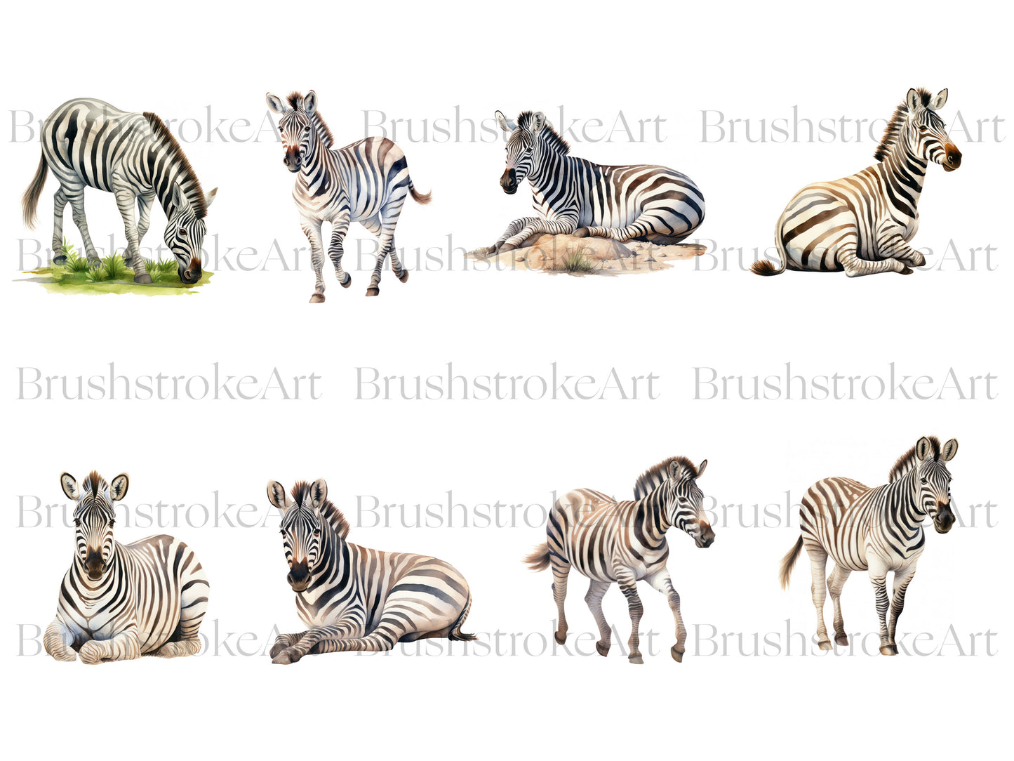 Watercolor Zebra