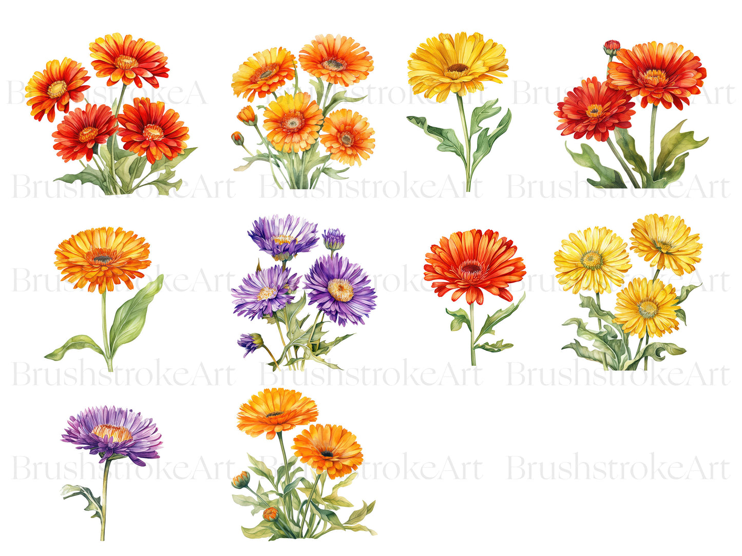 Watercolor clipart
