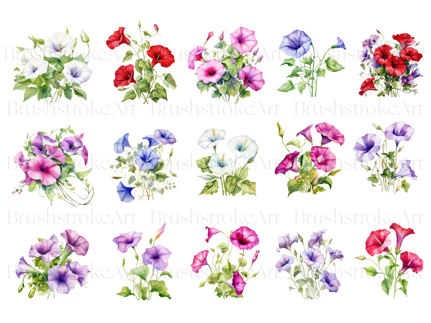 Watercolor flowers