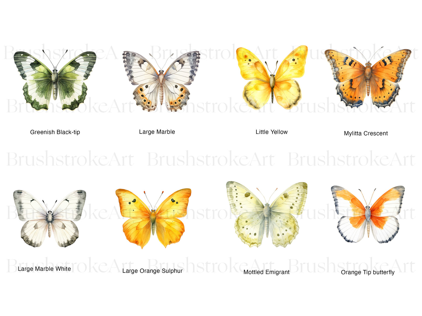 Ivory Butterflies