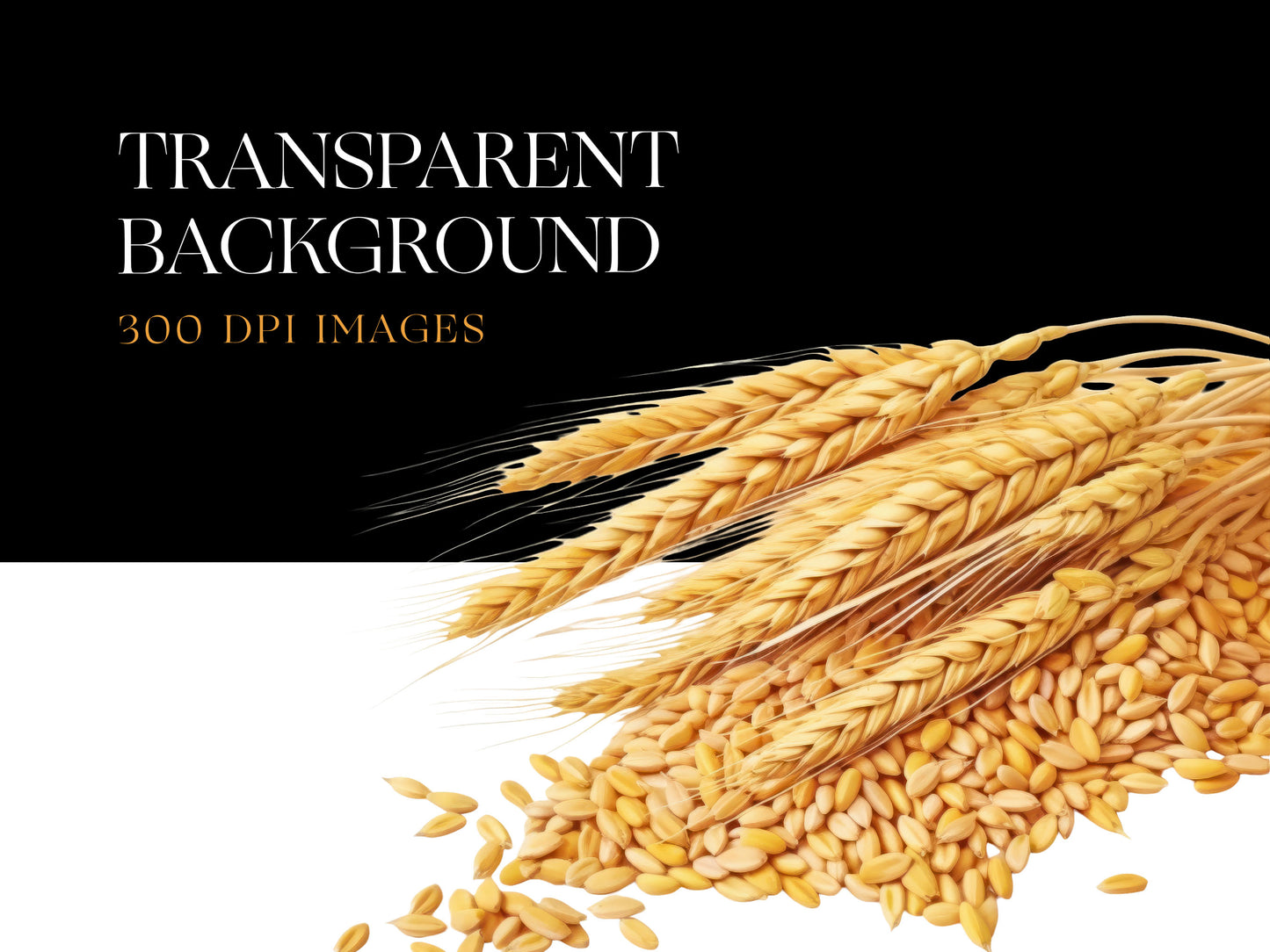 Wheat PNG