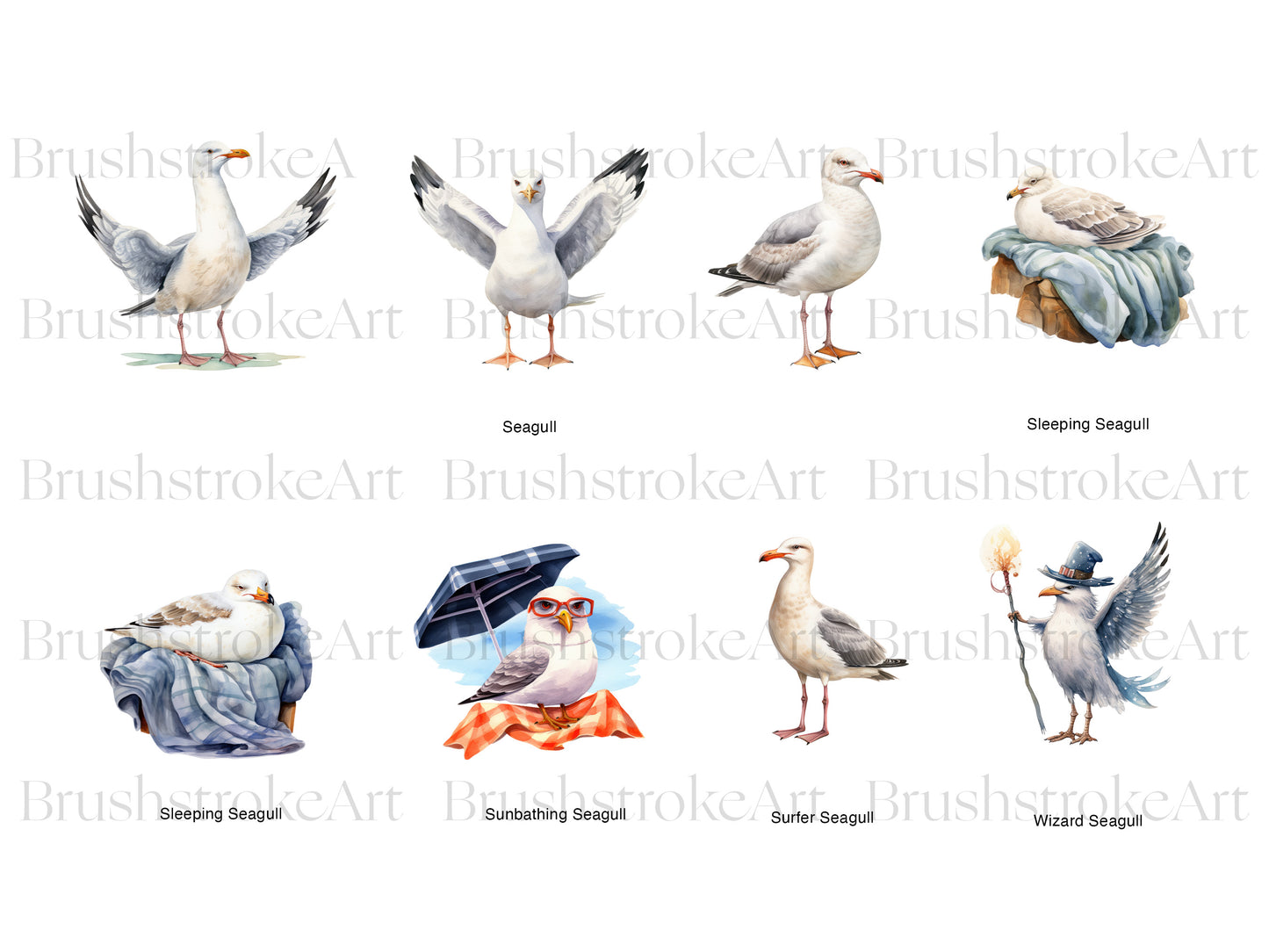 White Bird