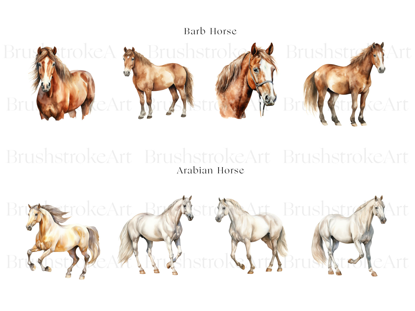 White Horse