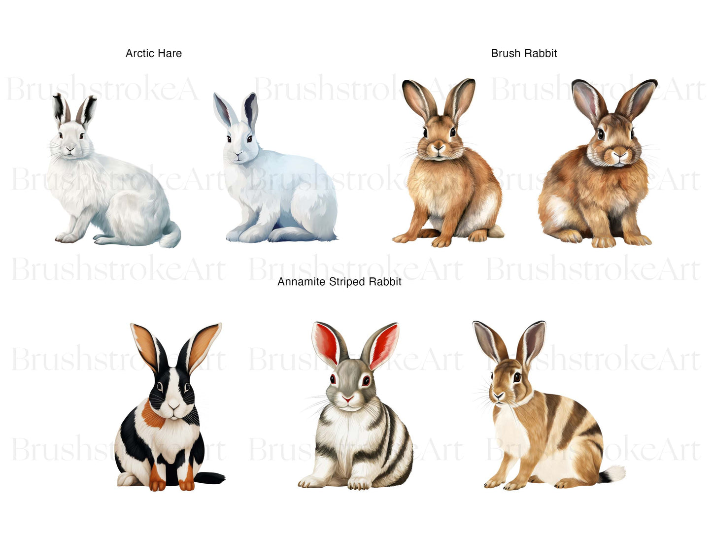 White Rabbit