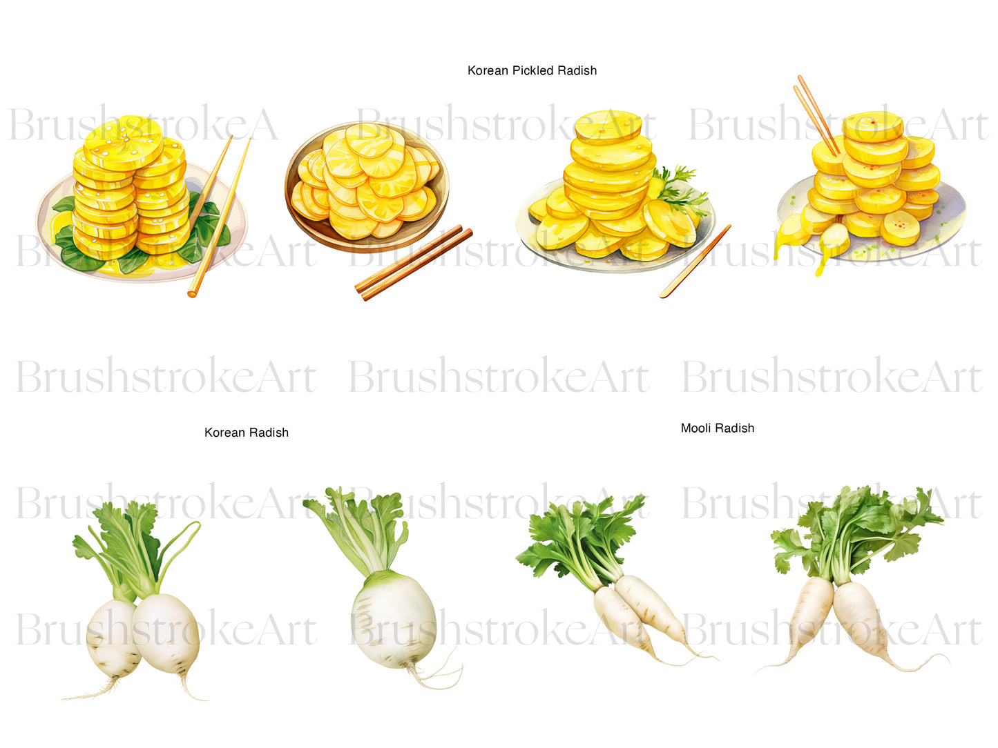 White Radish
