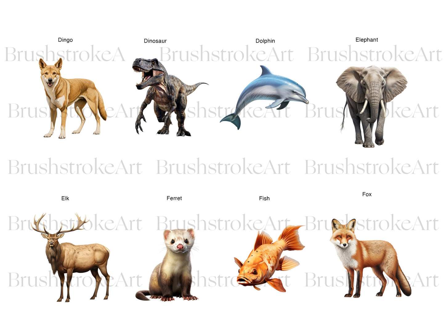 Wild Animals