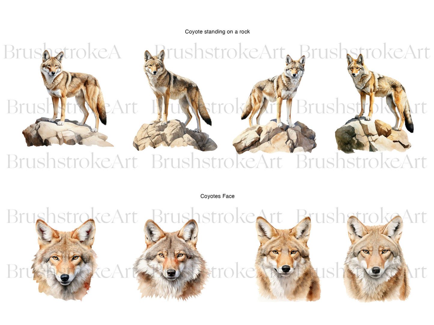 Wild life Animal