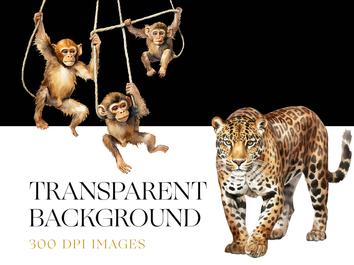 Wildlife Clipart