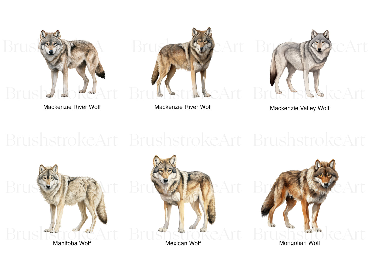 Wolf Graphics