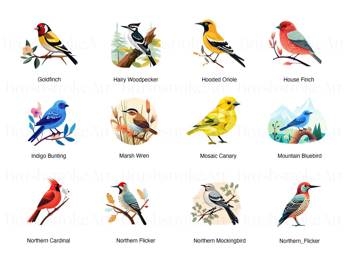 Woodpecker clipart