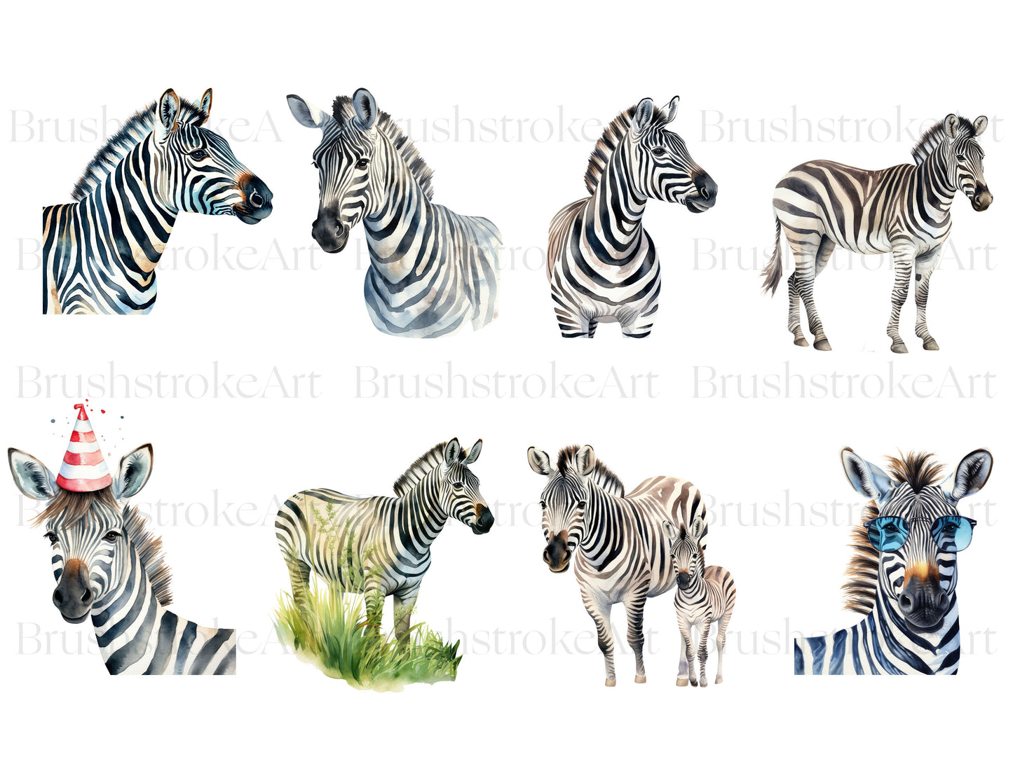 Zebra Head