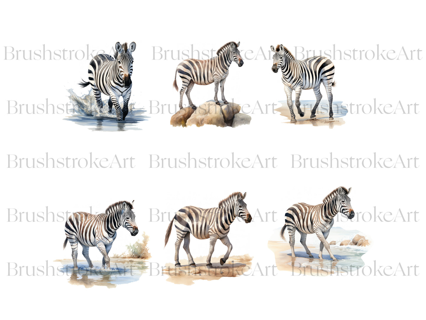 Zebra Head