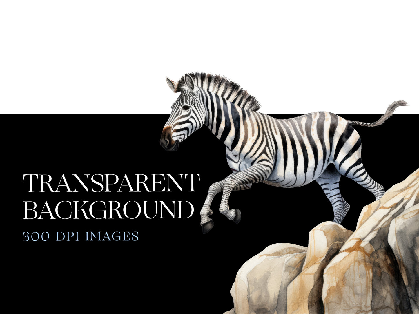 Zebra PNG