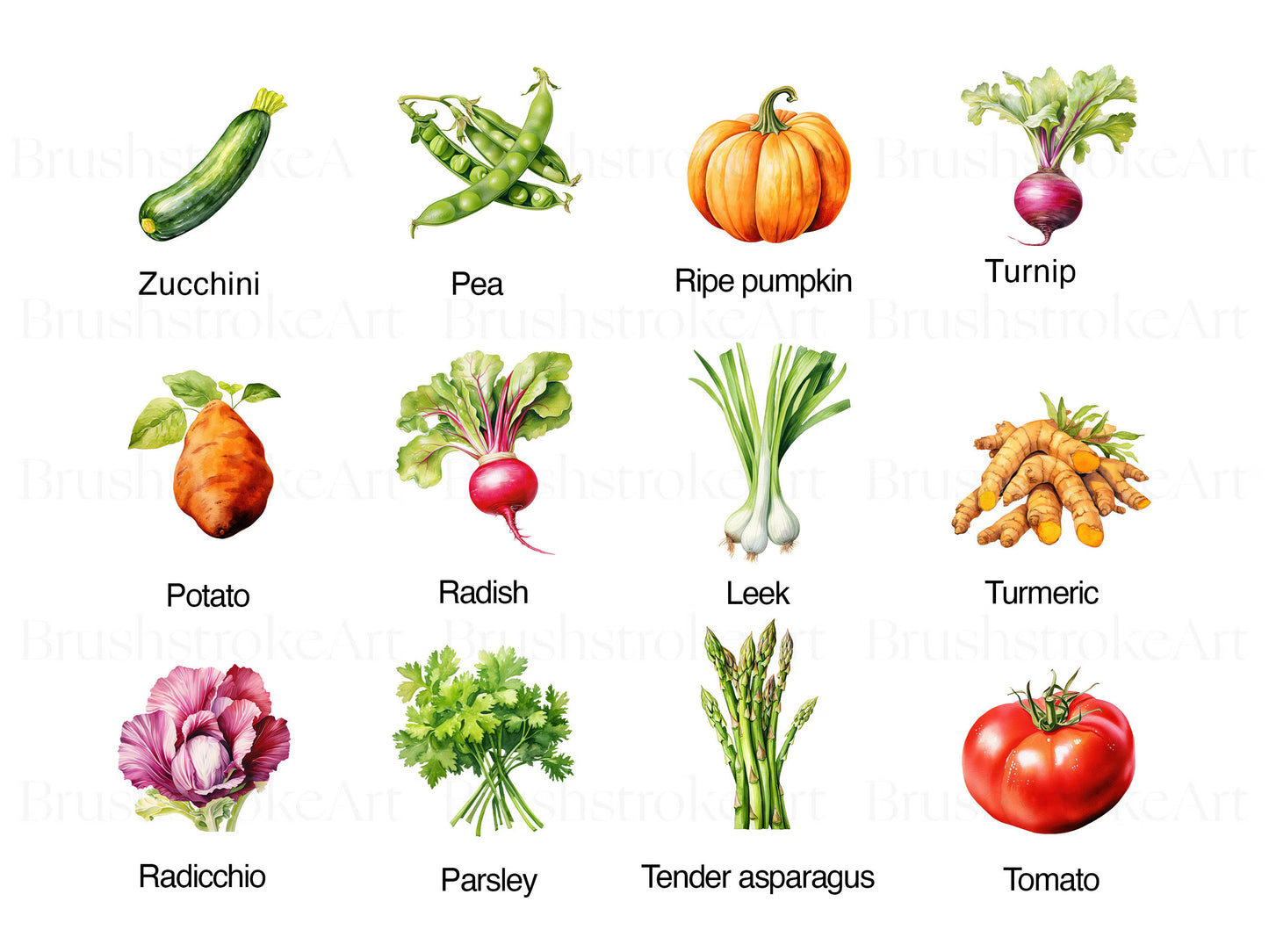 broccoli clipart