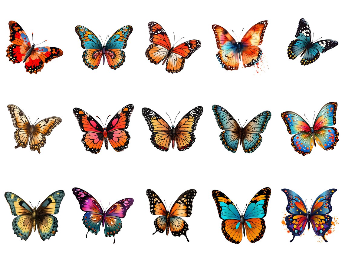 butterflies
