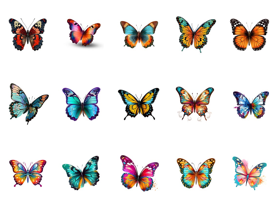 butterfly