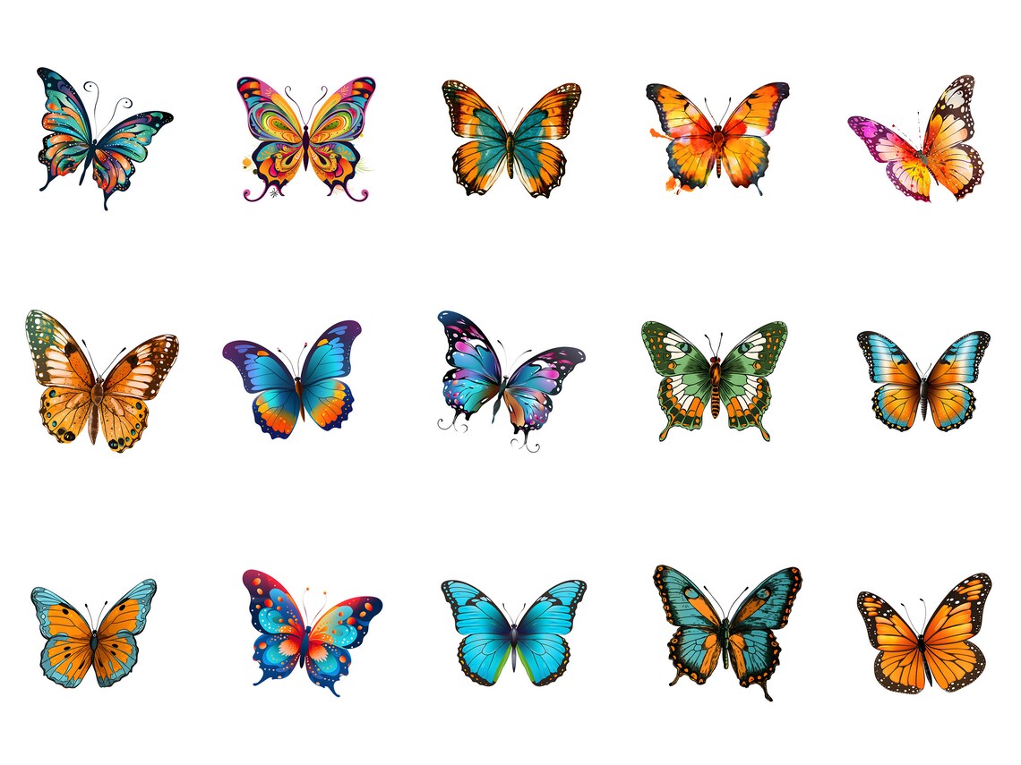 butterfly designs