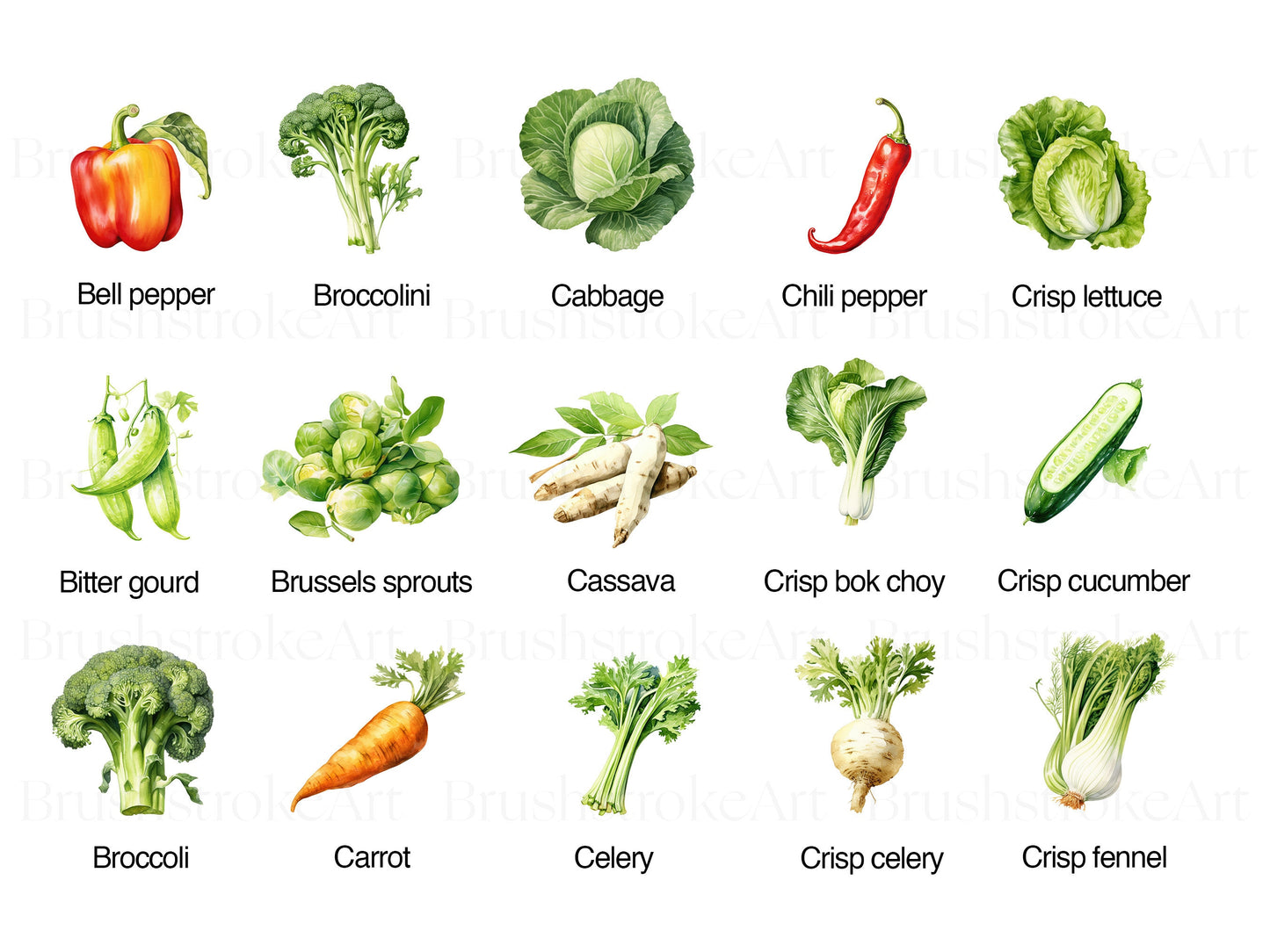 cabbage clipart