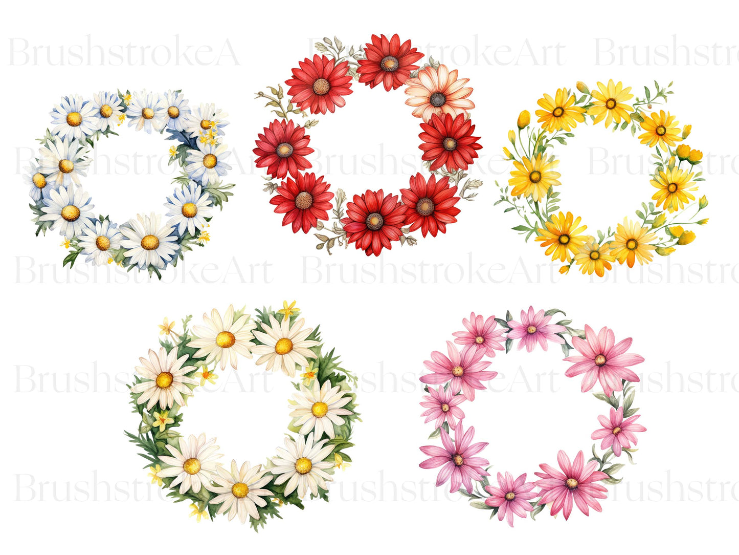 daisy clipart png