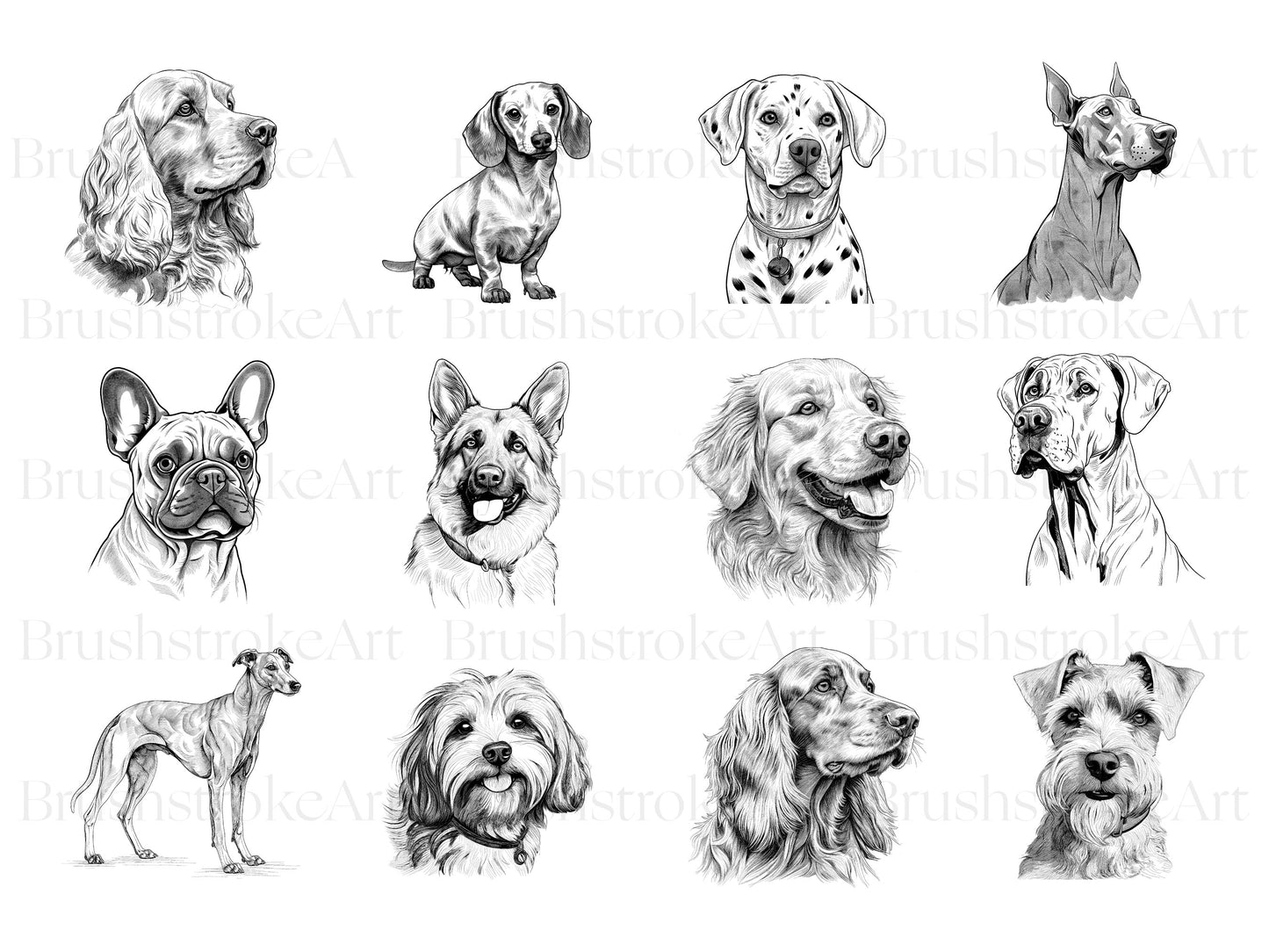 dogs illustrations